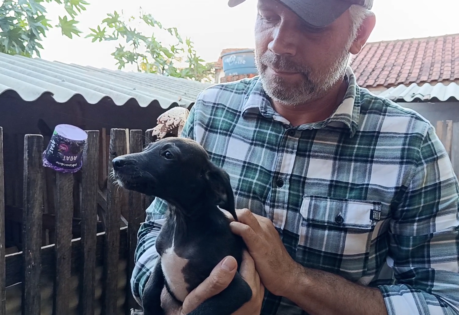 Prefeitura doa vacinas importadas para SOS Pets e cede terreno para ampliação do canil em Nova Fátima